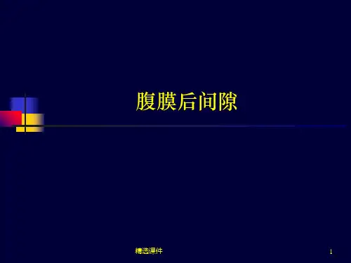 腹膜后间隙超声ppt课件