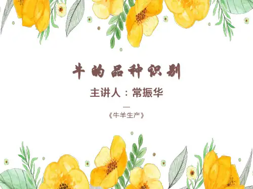 1.牛羊生产-牛种及其品种