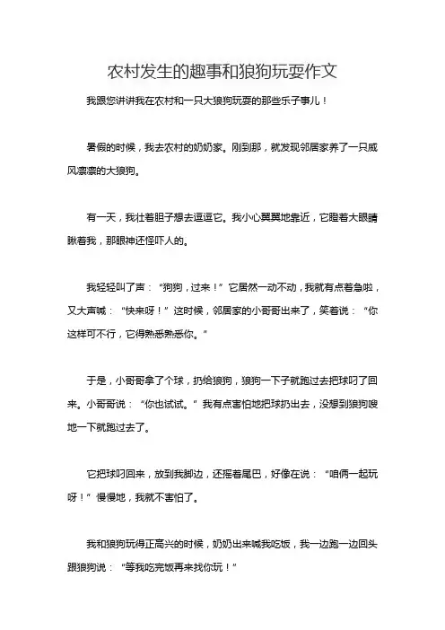 农村发生的趣事和狼狗玩耍作文