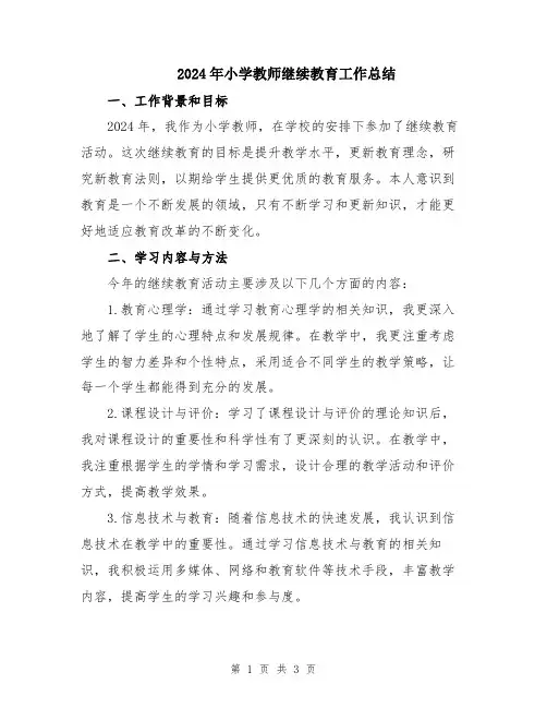 2024年小学教师继续教育工作总结
