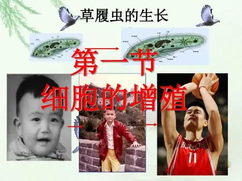 人教版高中生物必修一6.1细胞的增殖教学课件 (共15张PPT)