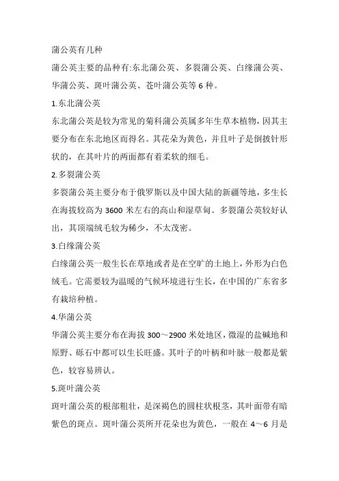 蒲公英有几种