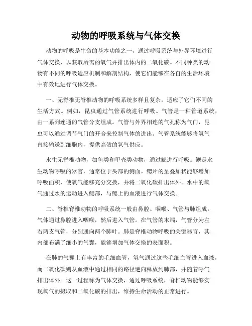 动物的呼吸系统与气体交换