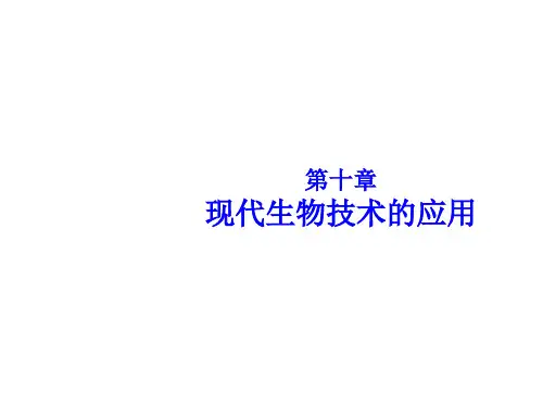 第10章现代生物技术的应用ppt课件