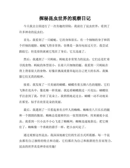 小学三年级作文探秘昆虫世界的观察日记