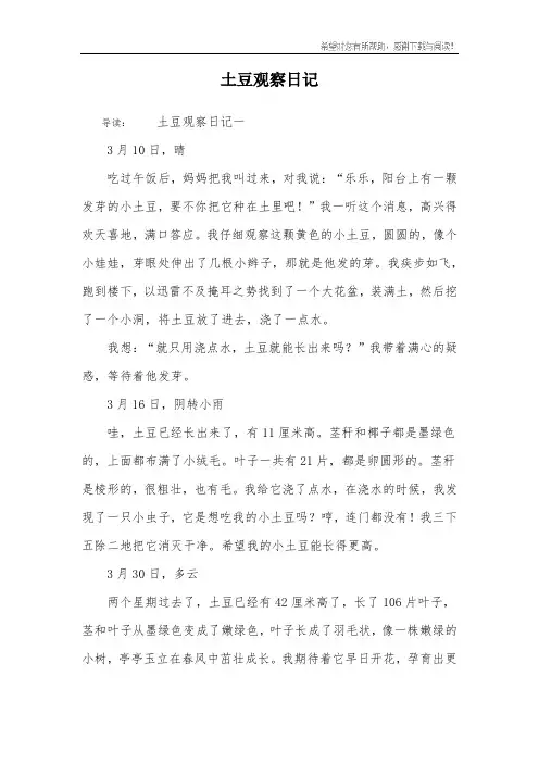 土豆观察日记