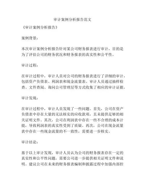审计案例分析报告范文