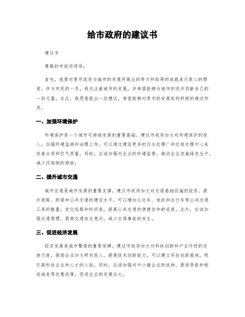 给市政府的建议书
