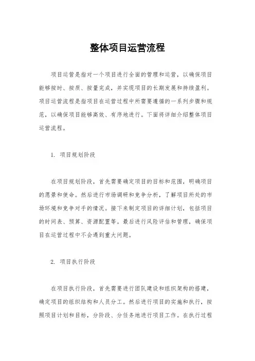 整体项目运营流程