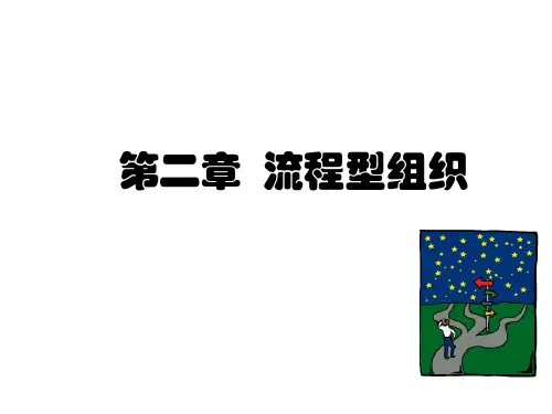 组织变革与流程再造及操作实例.pptx