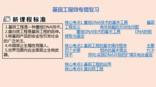 【高中生物】2023届高三生物二轮复习课件基因工程微专题