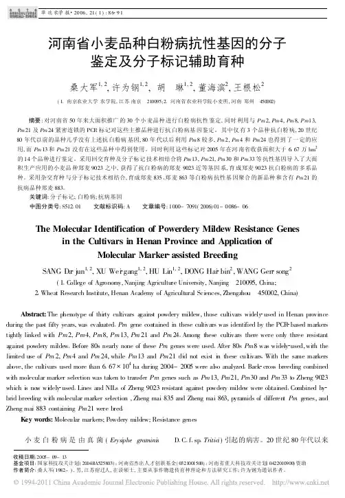 河南省小麦品种白粉病抗性基因的分子鉴定及分子标记辅助育种_桑大军
