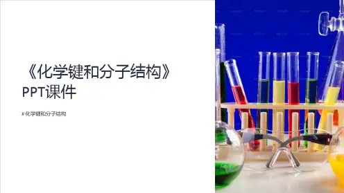 《化学键和分子结构》课件