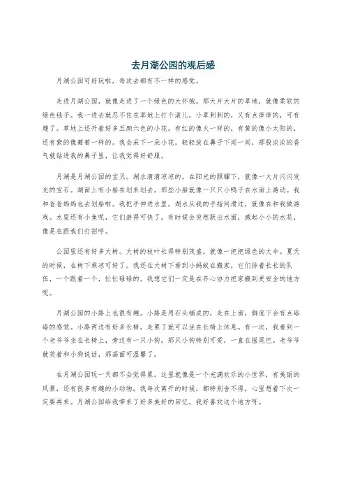 去月湖公园的观后感