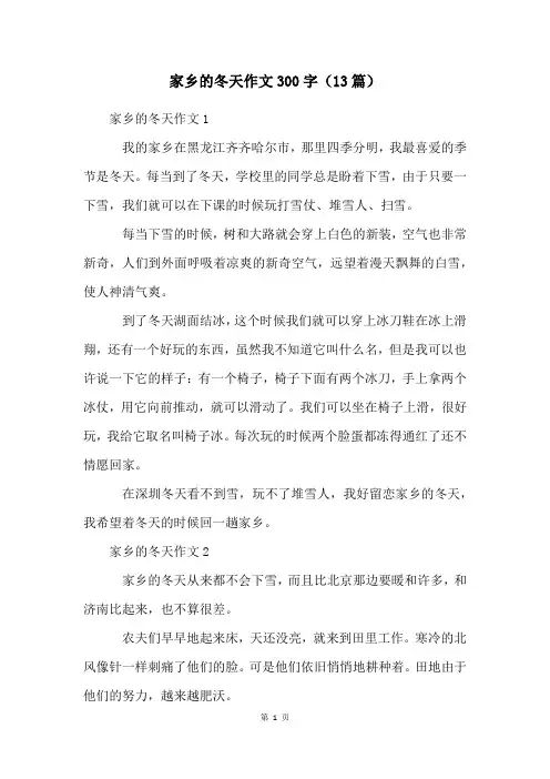 家乡的冬天作文300字(13篇)