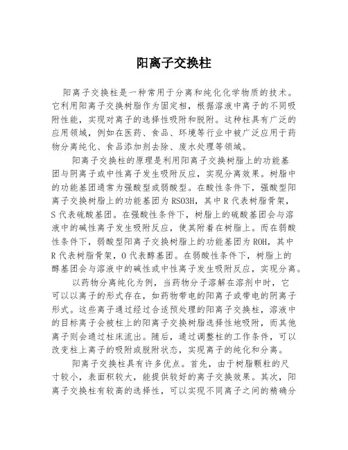 阳离子交换柱