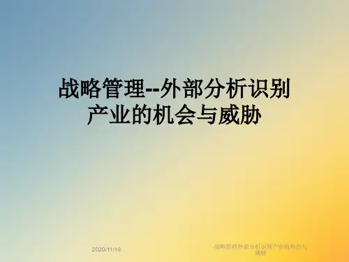 战略管理外部分析识别产业的机会与威胁