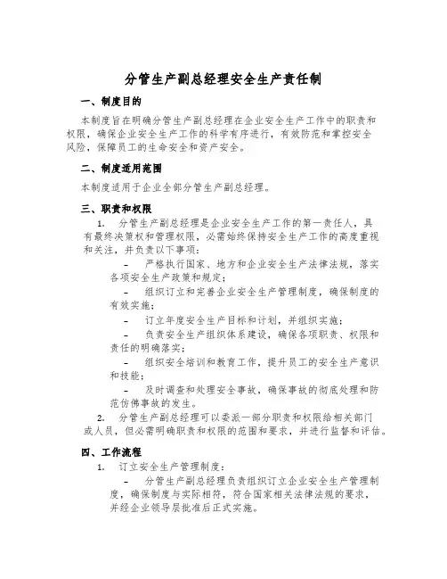 分管生产副总经理安全生产责任制