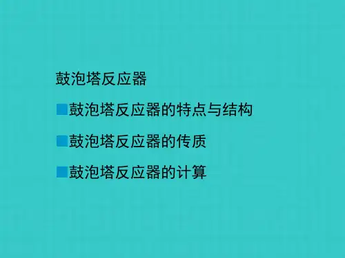 鼓泡塔反应器设计