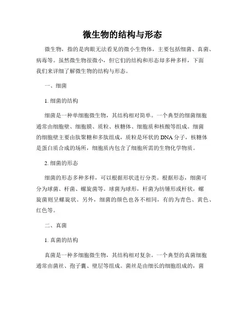 微生物的结构与形态