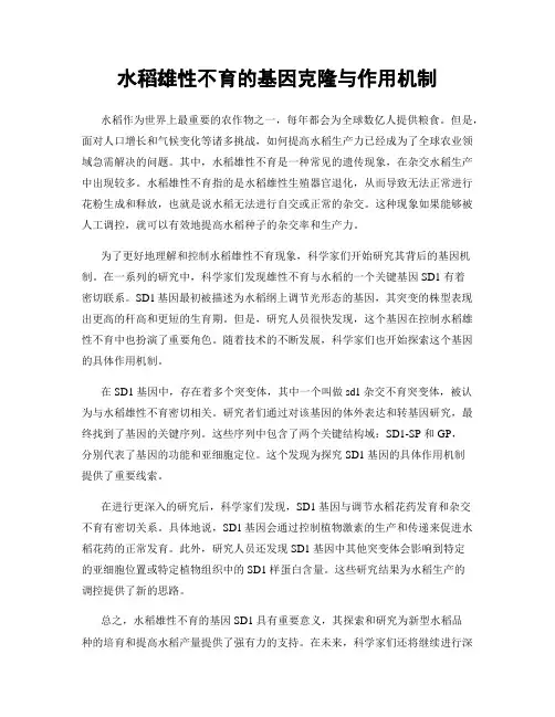 水稻雄性不育的基因克隆与作用机制