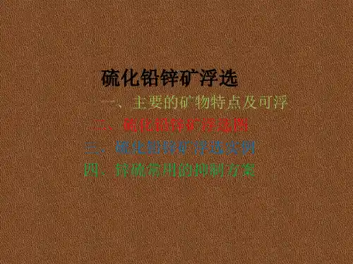 选矿生产管理仿真实训教学课件：硫化铅锌矿浮选介绍