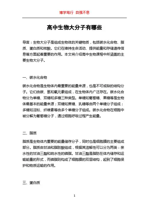 高中生物大分子有哪些