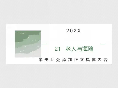 《老人与海鸥》优秀课件