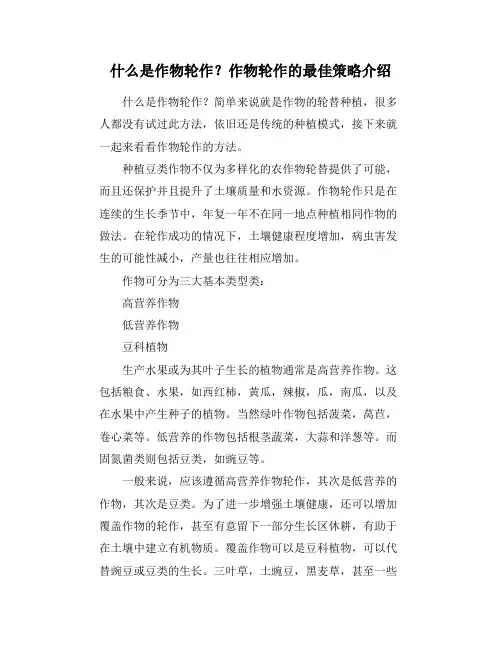 什么是作物轮作？作物轮作的最佳策略介绍