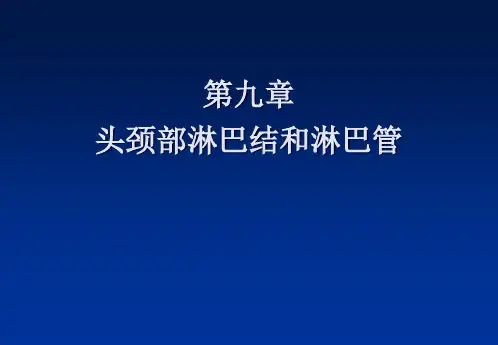 临床医学：头颈部淋巴结和淋巴管