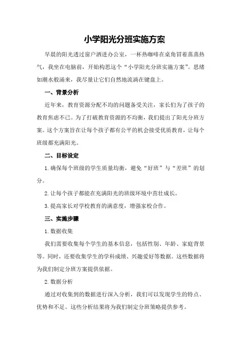 小学阳光分班实施方案