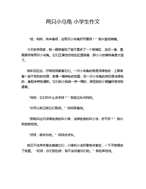 两只小乌龟 小学生作文