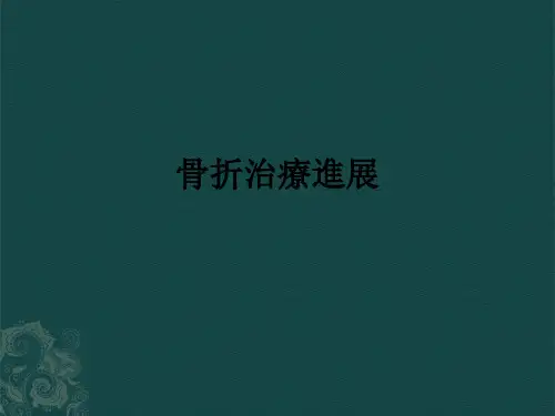 骨折治疗进展3课件
