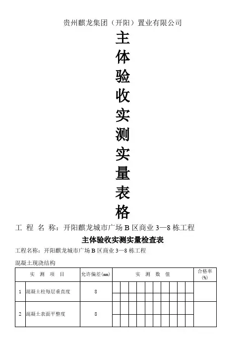 主体验收实测实量表格