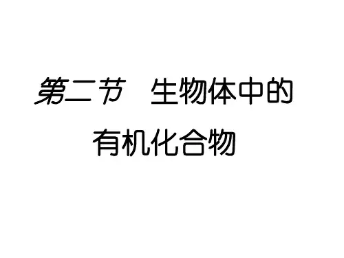 沪科科标板高中生物第一册2.2《生命中的有机化合物》优质课件(20张)(共20张PPT)