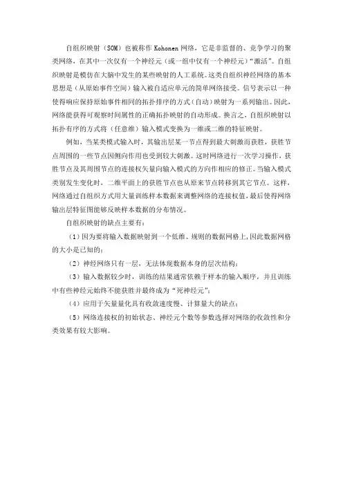 自映射组织