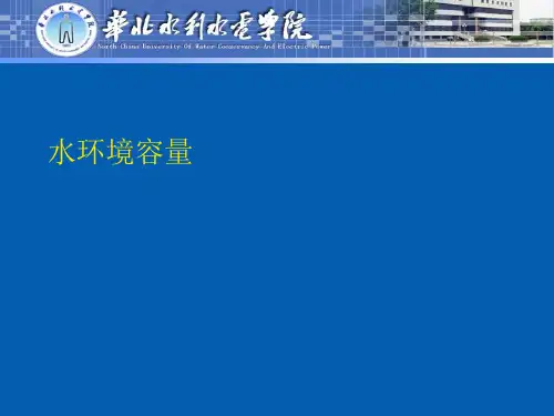 水环境容量.精选ppt
