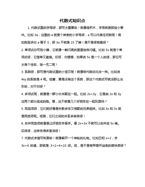 代数式知识点