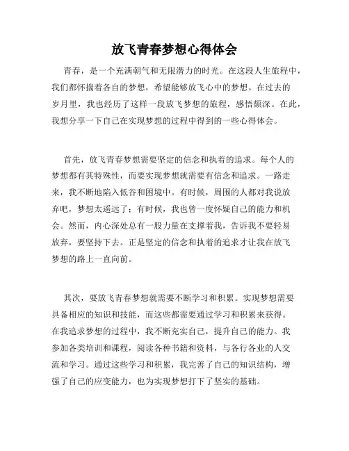 放飞青春梦想心得体会