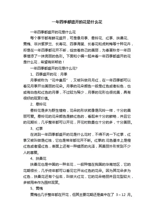 一年四季都盛开的花是什么花