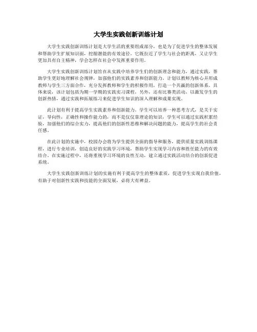 大学生实践创新训练计划