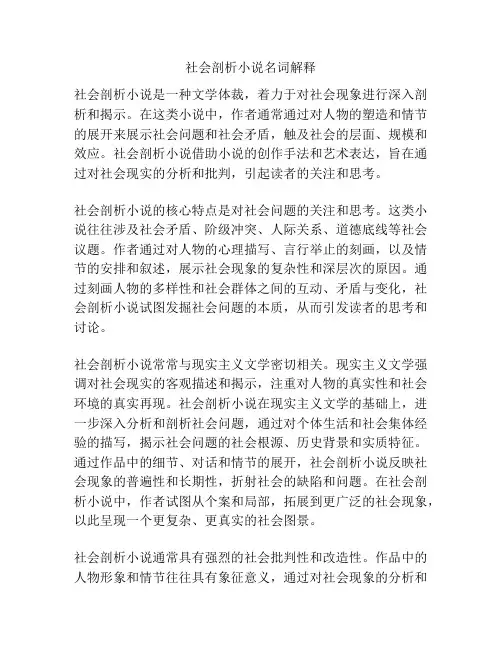 社会剖析小说名词解释