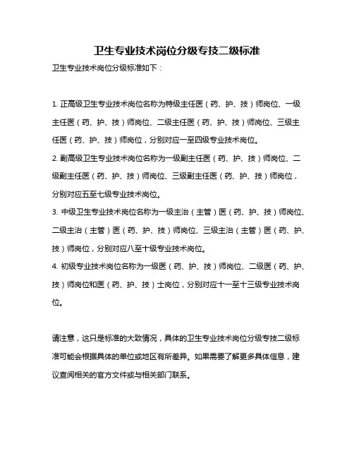 卫生专业技术岗位分级专技二级标准