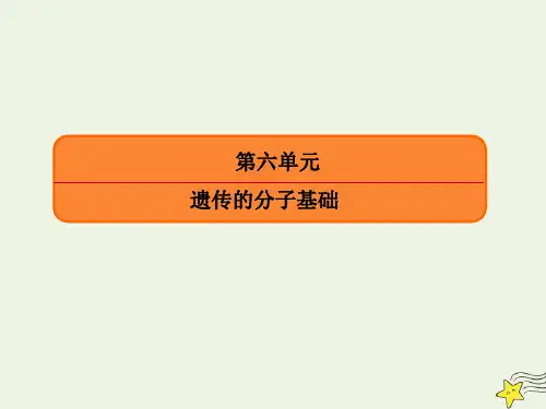 高考生物一轮复习第六单元遗传的分子基础第03讲基因的表达新人教版