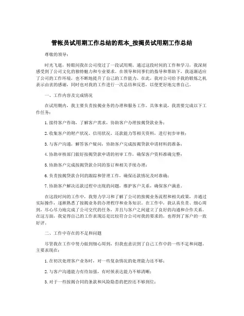 管帐员试用期工作总结的范本_按揭员试用期工作总结