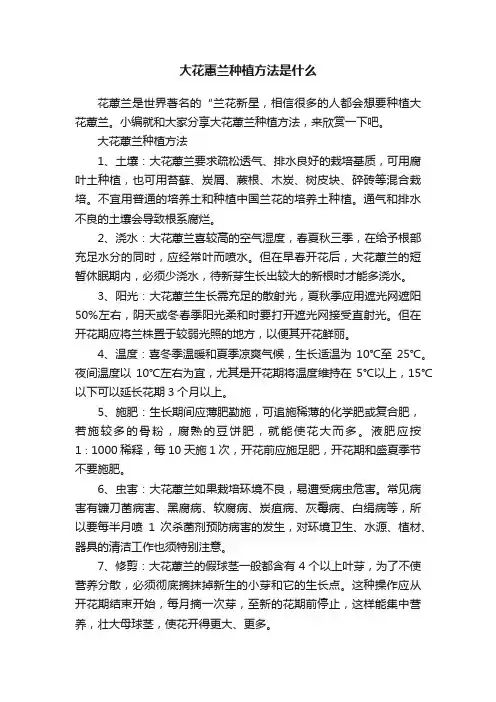 大花蕙兰种植方法是什么
