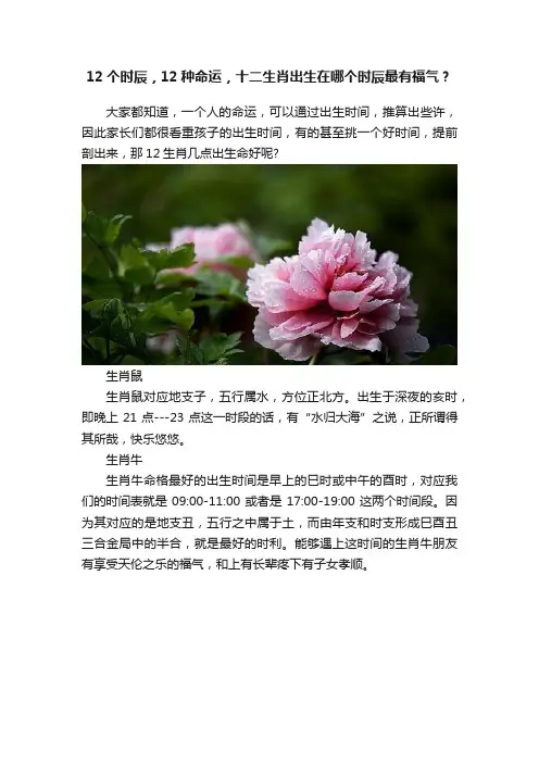 12个时辰，12种命运，十二生肖出生在哪个时辰最有福气？