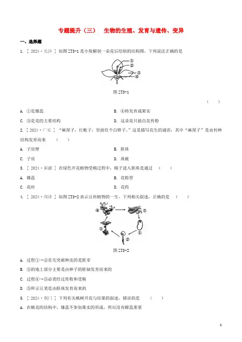 徐州专版2024中考生物复习方案专题提升03生物的生殖发育与遗传变异试题
