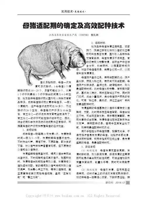 ·养殖技术·母猪适配期的确定及高效配种技术