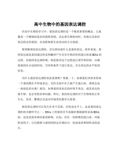 高中生物中的基因表达调控